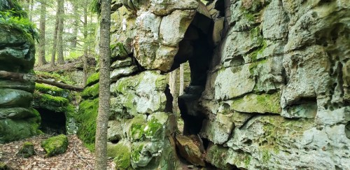A moss-covered rock formation with a large opening, surrounded by trees in a forested area.
