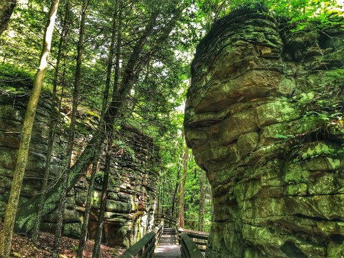 A wooden path winds through a lush forest, flanked by towering rock formations and dense greenery.