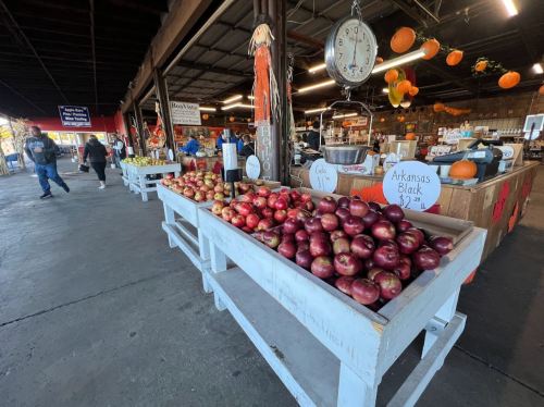 A market scene with tables of red apples, pumpkins, and shoppers in a rustic setting.