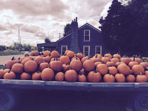A trailer filled with numerous pumpkins in front of a rustic building and cloudy sky.