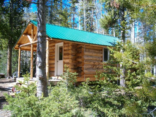 A small log cabin with a green metal roof, surrounded by trees in a forested area.