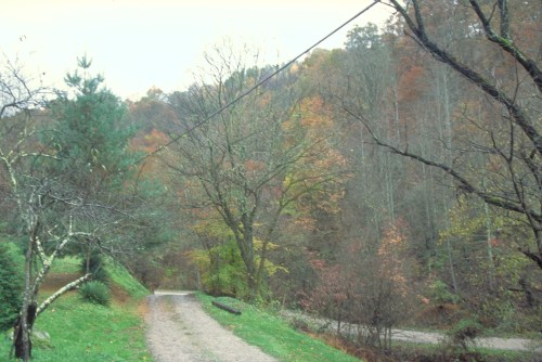 A winding gravel road surrounded by trees with autumn foliage and a misty landscape in the background.