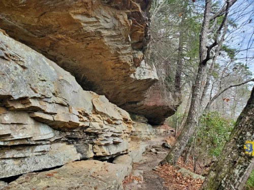 Rocky cliffside along a forested trail, with trees and a clear sky in the background.