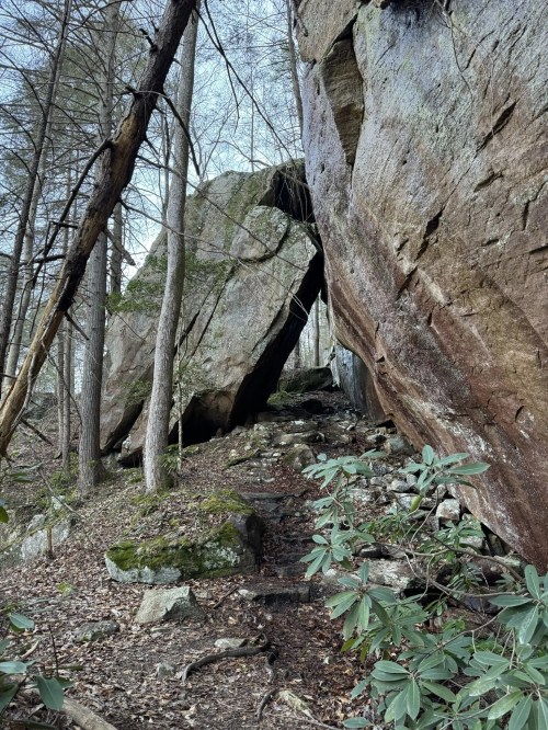 A rocky pathway between large boulders, surrounded by trees and underbrush in a natural setting.