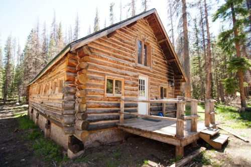 A rustic log cabin surrounded by tall trees in a forested area, featuring a wooden porch and large windows.