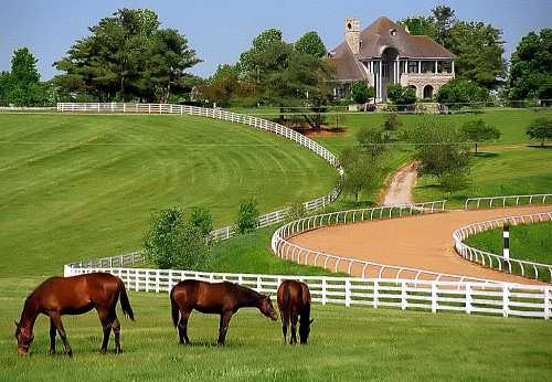 Three horses graze in a lush green field near a large house and winding dirt road, surrounded by white fences and trees.