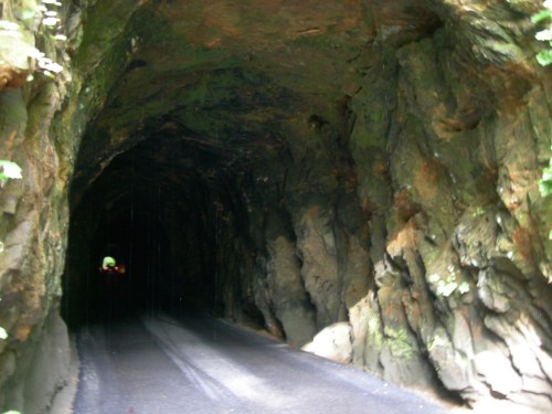 A dark, rocky tunnel with a road running through it, surrounded by moss and greenery.