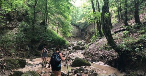 Two hikers walking through a rocky, green forested area with a stream and steep banks on either side.