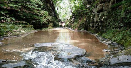 A serene, narrow canyon with a calm pool of water surrounded by lush greenery and rocky cliffs.