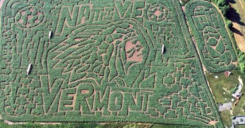 Aerial view of a corn maze featuring a Native American chief and the words "Native Vermont."