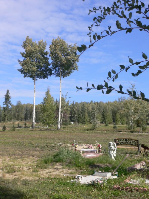 A serene landscape featuring two tall trees, a memorial with flowers, and a bench surrounded by greenery under a blue sky.