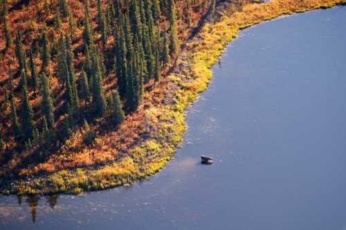 Aerial view of a lake's edge surrounded by colorful autumn foliage and evergreen trees. A rock is visible in the water.