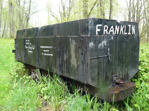 An old, weathered train car named "Franklin" sits overgrown with grass and plants in a wooded area.