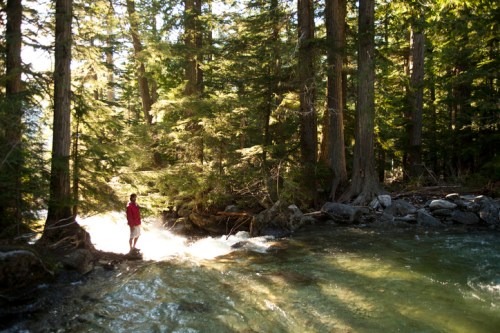 A person stands by a flowing river surrounded by tall trees and sunlight filtering through the forest.