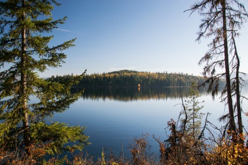 A serene lake surrounded by trees, reflecting the clear blue sky and autumn foliage on a calm day.