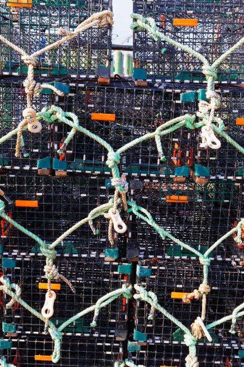 A close-up of stacked lobster traps secured with green ropes and orange tags, creating a textured pattern.