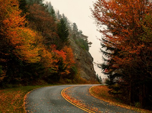 A winding road surrounded by vibrant autumn foliage and misty mountains in the background.