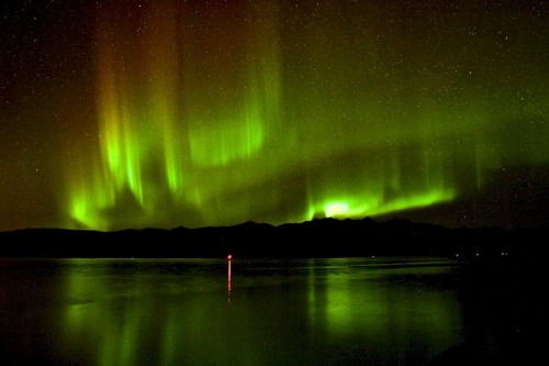 A stunning display of green auroras lights up the night sky over a calm lake, reflecting the colors on the water's surface.