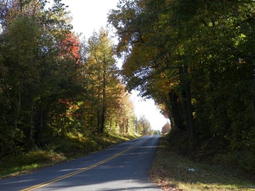 A winding road lined with trees displaying autumn colors under a clear sky.