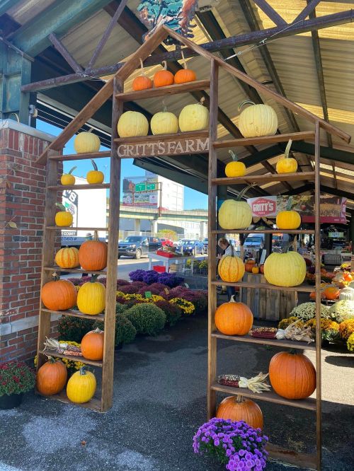 A wooden display at a farm market featuring various pumpkins and gourds, with colorful flowers in the foreground.