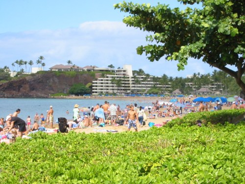 A busy beach scene with people sunbathing and swimming, surrounded by palm trees and resort buildings in the background.