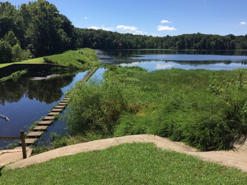 A serene lake surrounded by lush greenery and trees, with a wooden path leading into the water under a clear blue sky.