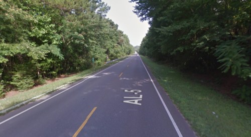 A quiet, tree-lined road with a visible highway sign for AL-5, surrounded by lush greenery.