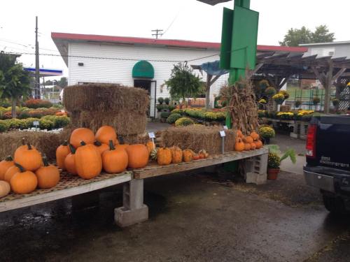 A farm stand displays pumpkins and hay bales, with colorful flowers in the background on a cloudy day.