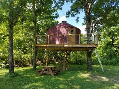 A wooden yurt on stilts surrounded by trees, with a picnic table underneath and a ladder leading up to it.