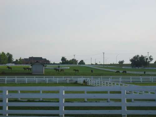 A serene landscape featuring several horses grazing in a green field, surrounded by white fences and a distant house.