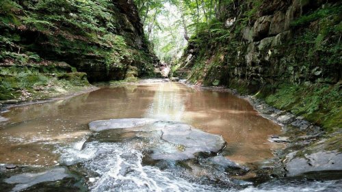 A serene, narrow canyon with a calm pool of water surrounded by lush greenery and rocky walls.