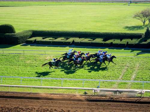 Aerial view of racehorses competing on a grassy track, with "Keeneland" displayed in the background.