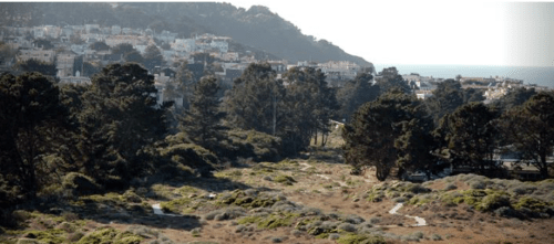 A scenic view of a coastal landscape with trees, grassy areas, and distant houses on a hillside.