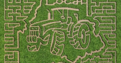 Aerial view of a corn maze shaped like a tractor, surrounded by intricate pathways in green grass.