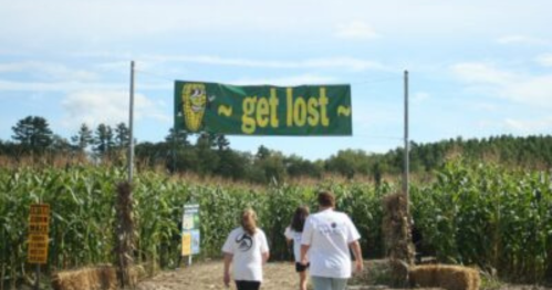 A group of people walking towards a corn maze entrance with a "get lost" banner overhead.