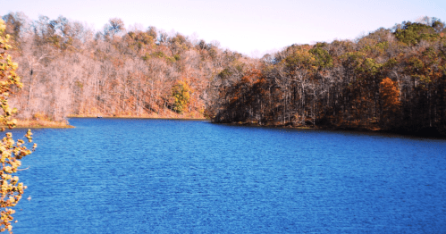 A serene lake surrounded by trees in autumn colors, reflecting a clear blue sky.