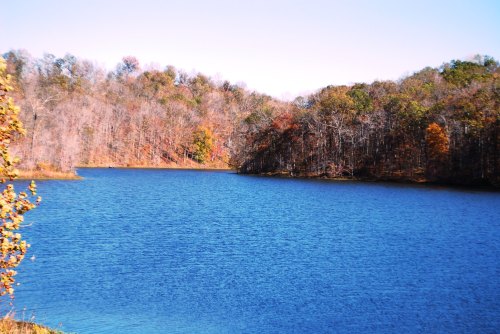 A serene lake surrounded by trees with autumn foliage, reflecting a clear blue sky.