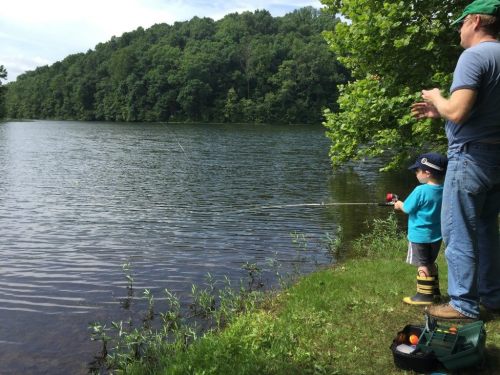 A man and a young boy fish by a serene lake surrounded by lush green trees on a sunny day.