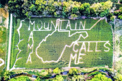 Aerial view of a corn maze shaped like West Virginia, featuring the phrase "Mountain Calls Me" carved into the crops.