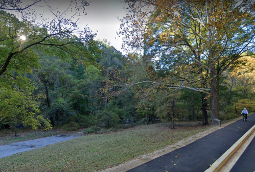A cyclist rides along a path surrounded by lush green trees and autumn foliage.