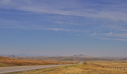 A long, empty road stretches through golden grasslands under a clear blue sky, with distant mountains on the horizon.