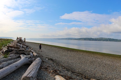A person walks along a pebbly beach with driftwood, under a blue sky and calm water in the background.