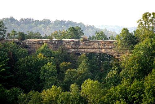 A scenic view of a rocky arch surrounded by lush green trees and rolling hills in the background.