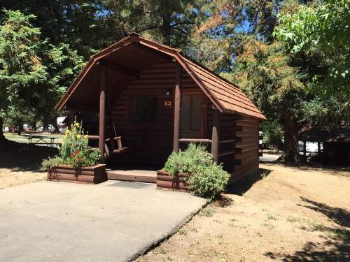 A rustic wooden cabin surrounded by trees, featuring a porch and flower beds in a sunny outdoor setting.