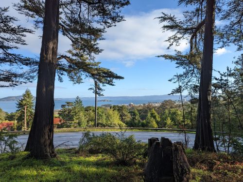 A scenic view of a landscape with tall trees, a winding road, and a distant body of water under a partly cloudy sky.