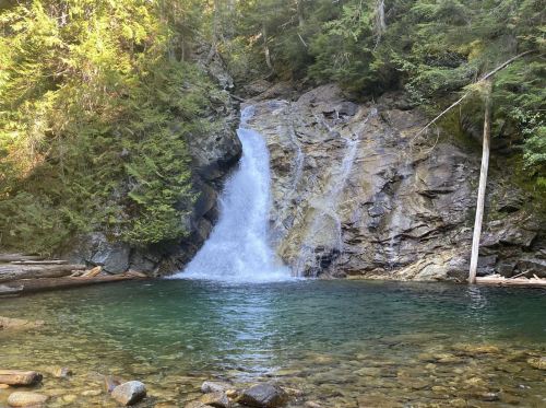 A serene waterfall cascades into a clear pool, surrounded by lush green trees and rocky terrain.