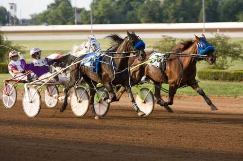 A harness racing scene with four horses and drivers competing on a dirt track under clear skies.