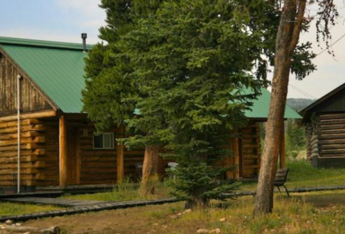A rustic log cabin with a green metal roof, surrounded by trees and a grassy area.