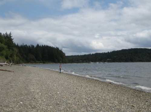 A rocky beach with a person walking along the shore, surrounded by trees and a cloudy sky.