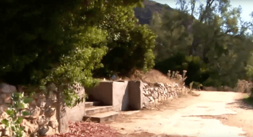 A dirt path leads past a stone wall and lush greenery in a serene outdoor setting.